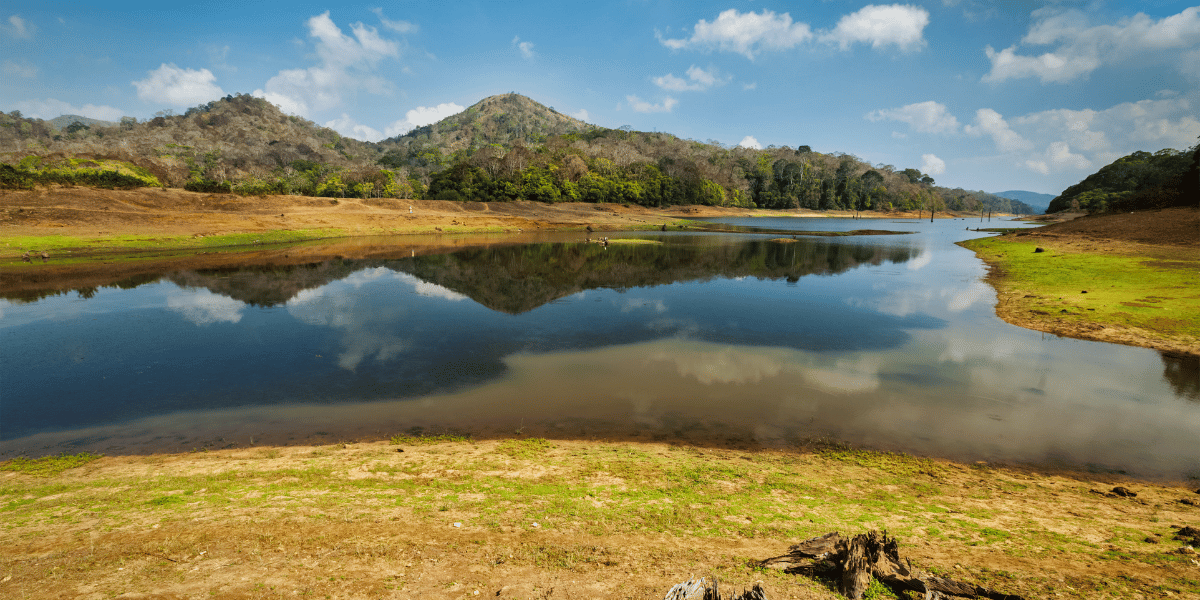 Periyar Lake Image